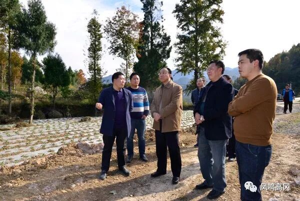 【版首新闻】赵金龙到天桥镇调研脱贫攻坚工作,苏州蜂蜜价格联盟