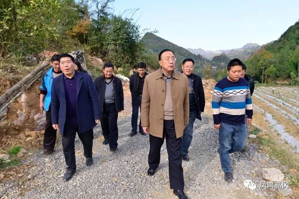 【版首新闻】赵金龙到天桥镇调研脱贫攻坚工作,苏州蜂蜜价格联盟