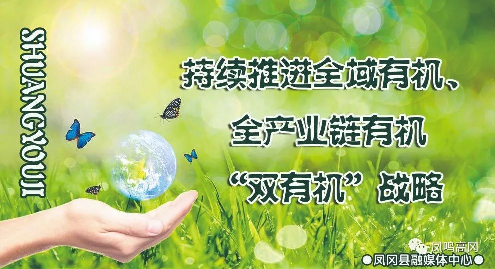 致富经养牛_致富养牛创业视频_致富养牛牛人