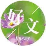 首轮关停潮已来，幼儿园一孩难求！出生率暴跌，一场巨变正在悄然发生……