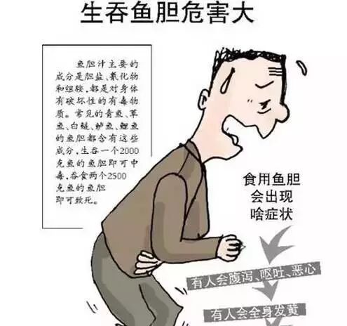 一般只要几克胆汁就能导致中毒,如果是四五斤重的大鱼,1个鱼胆就够