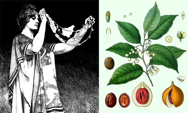 印尼属于哪个洲_印尼属于亚洲还是大洋洲_印尼是什么洲