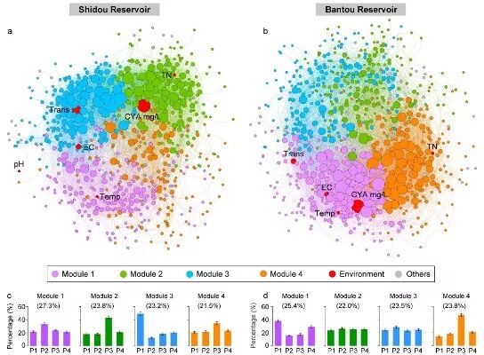 群化构成的方法有哪些_群化构成图_群化构成图作业