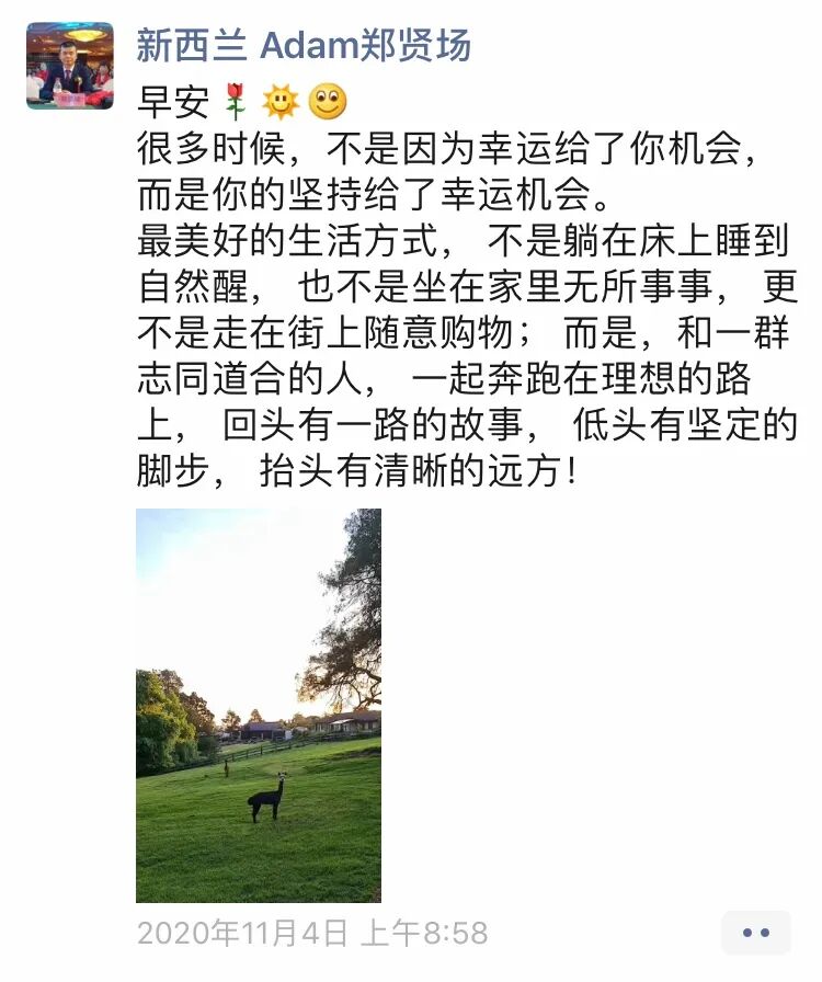 43岁移民海外，这个华人在自家花园“徒手造游艇”，耗时一年，成果惊艳！（视频/组图） - 21