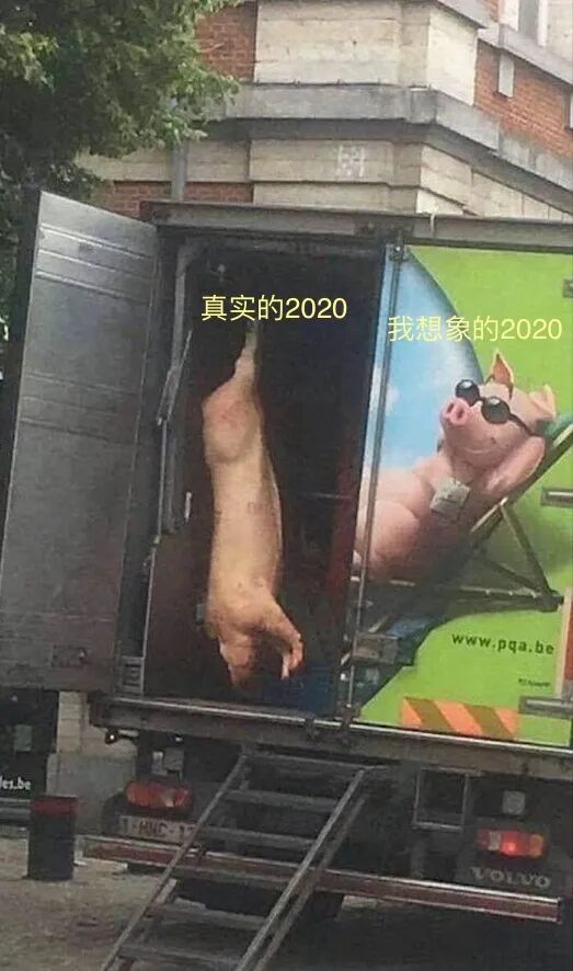 世卫官宣：这个致死率超高的病毒再次爆发！2020，还会好吗？（组图） - 11