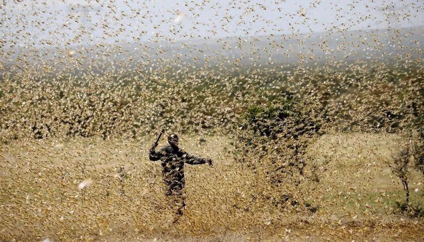 世卫官宣：这个致死率超高的病毒再次爆发！2020，还会好吗？（组图） - 27