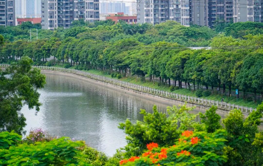 武汉城建保利花语和岸开盘，有多少人买？