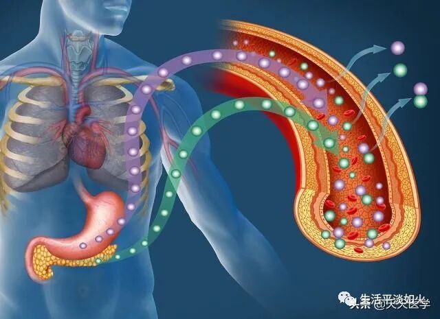 胰腺癌能活多久？