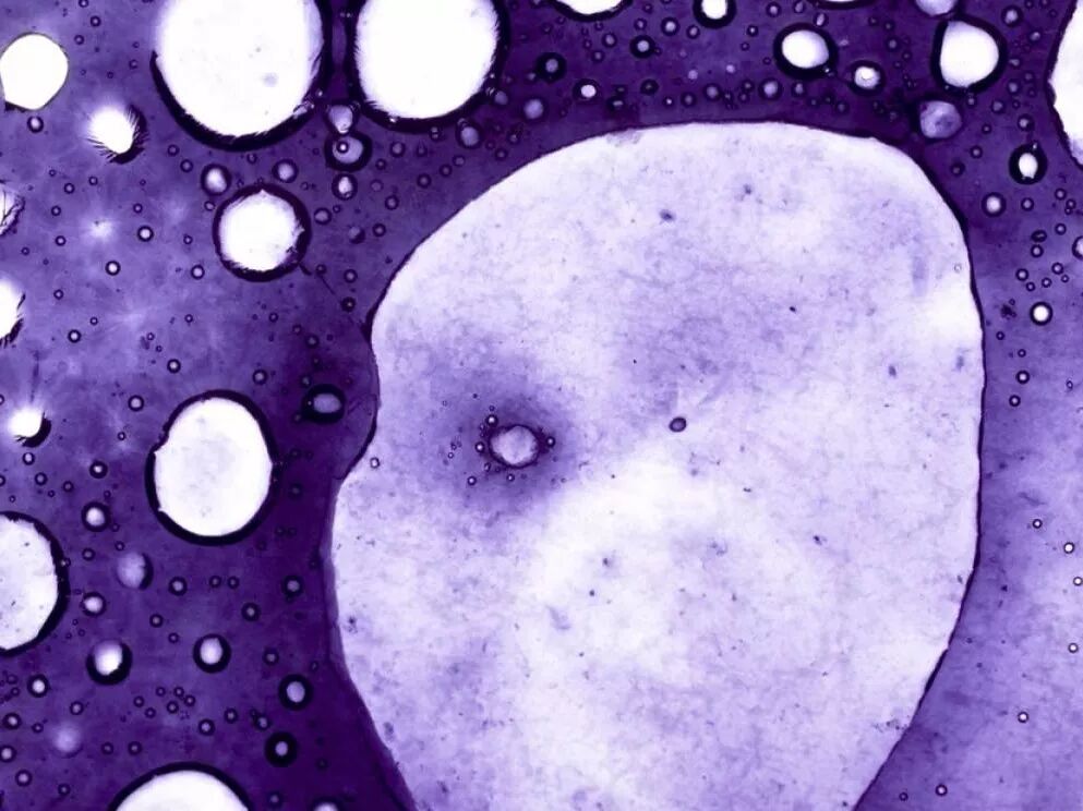 留學日本三年所見，差距之大！ 留學 第8張