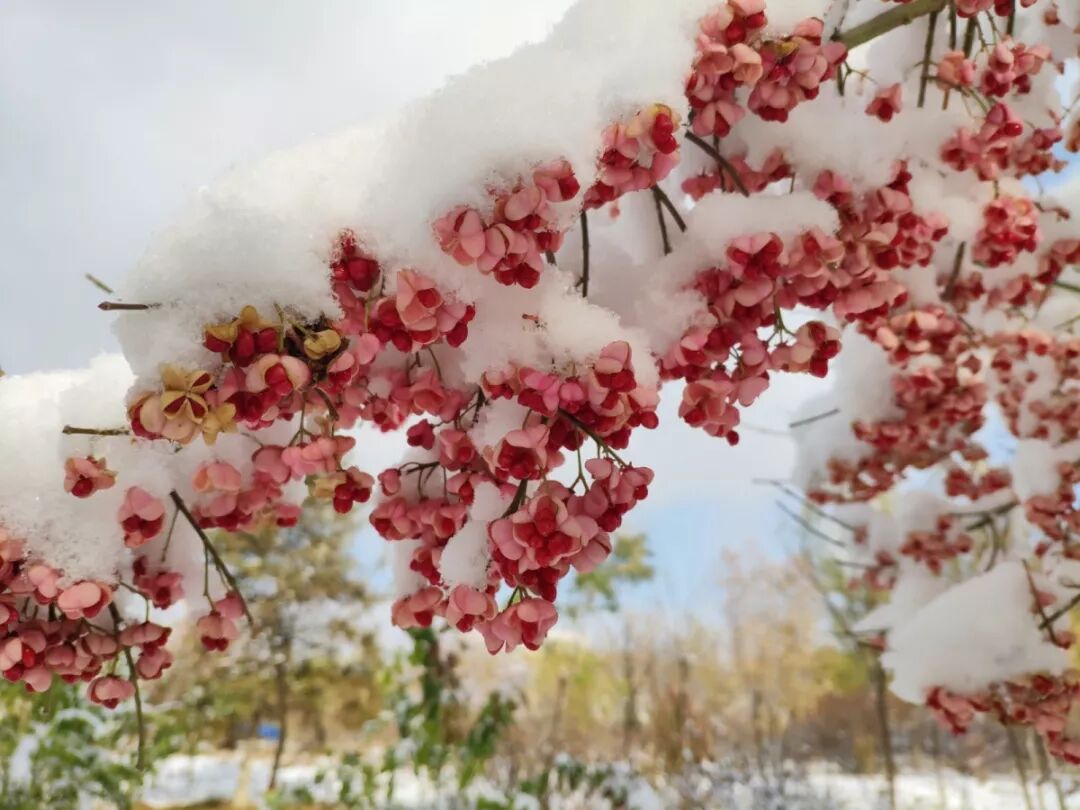 西北民族大学教务处_西北民族大学教务系统_西北民族大学校园网