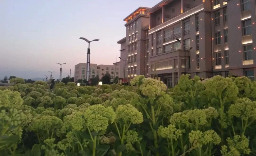 西北民族大学教务处_西北民族大学教务系统_西北民族大学校园网