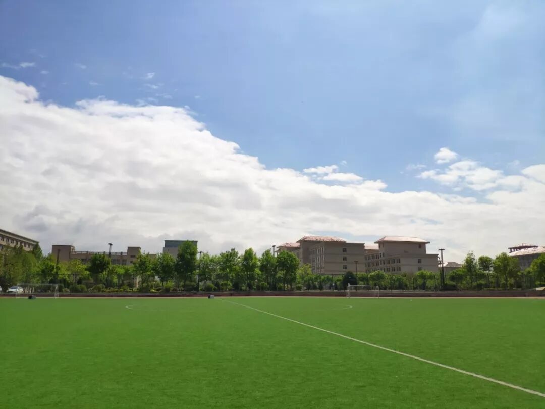 西北民族大学教务系统_西北民族大学校园网_西北民族大学教务处