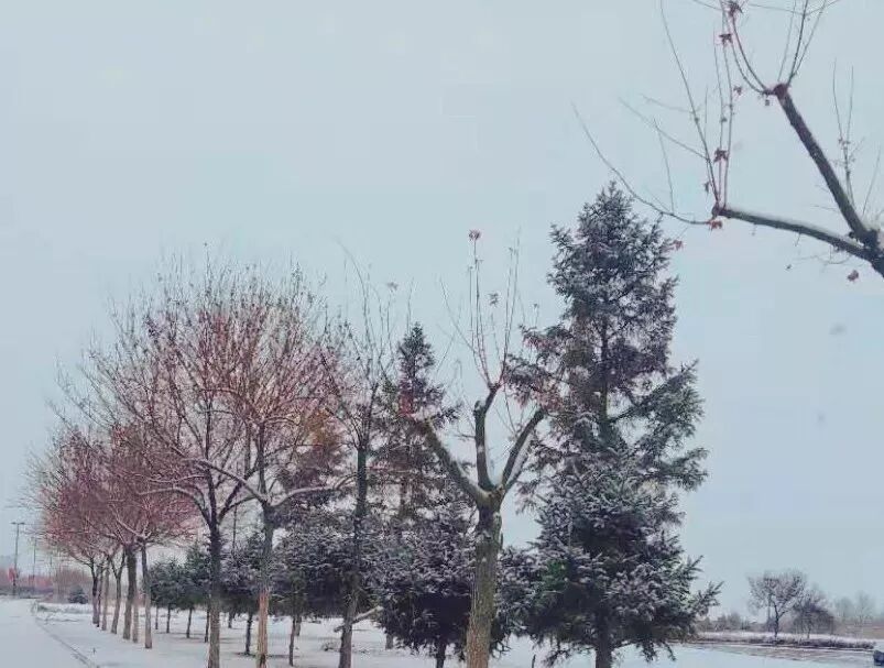 西北民族大学教务处_西北民族大学教务系统_西北民族大学校园网