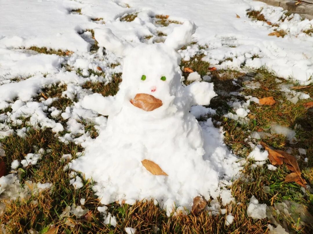 西北民族大学教务处_西北民族大学校园网_西北民族大学教务系统
