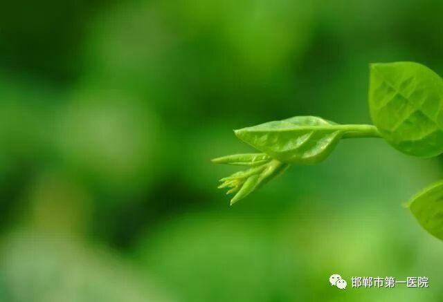 河北首道医药科技有限公司