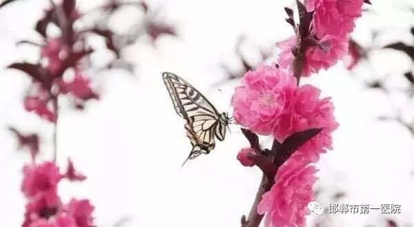 河北首道医药科技有限公司