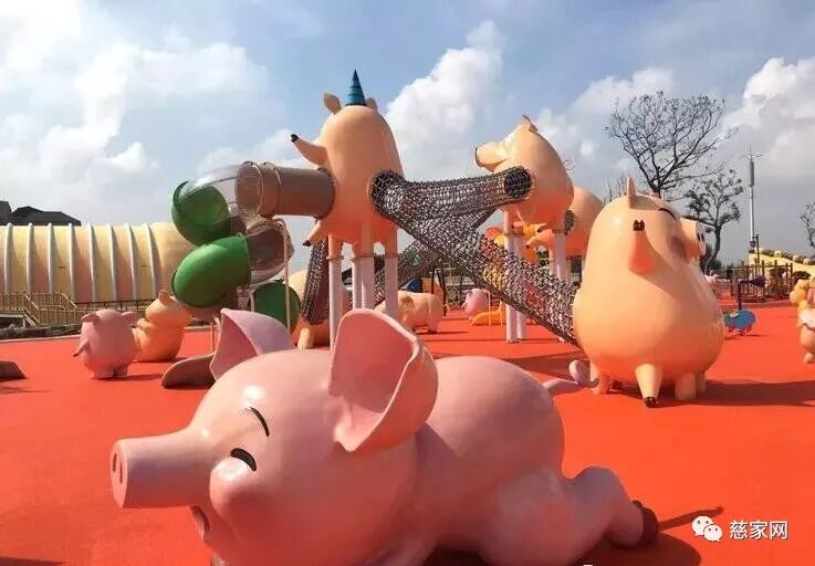 慈家 亲子派 宝宝们可以来好吃 好玩 好看的猪猪乐园了 慈家网 微信公众号文章阅读 Wemp