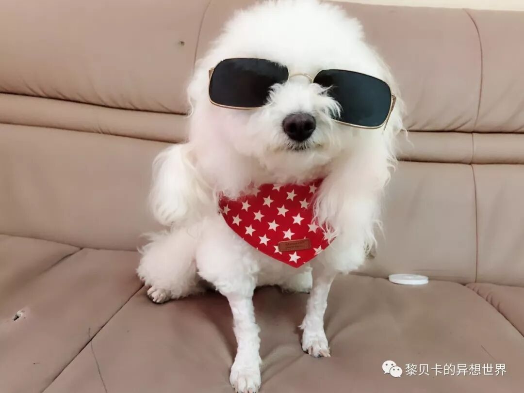 墨镜什么牌子好男士_男士墨镜的牌子_男士牌子墨镜好吗