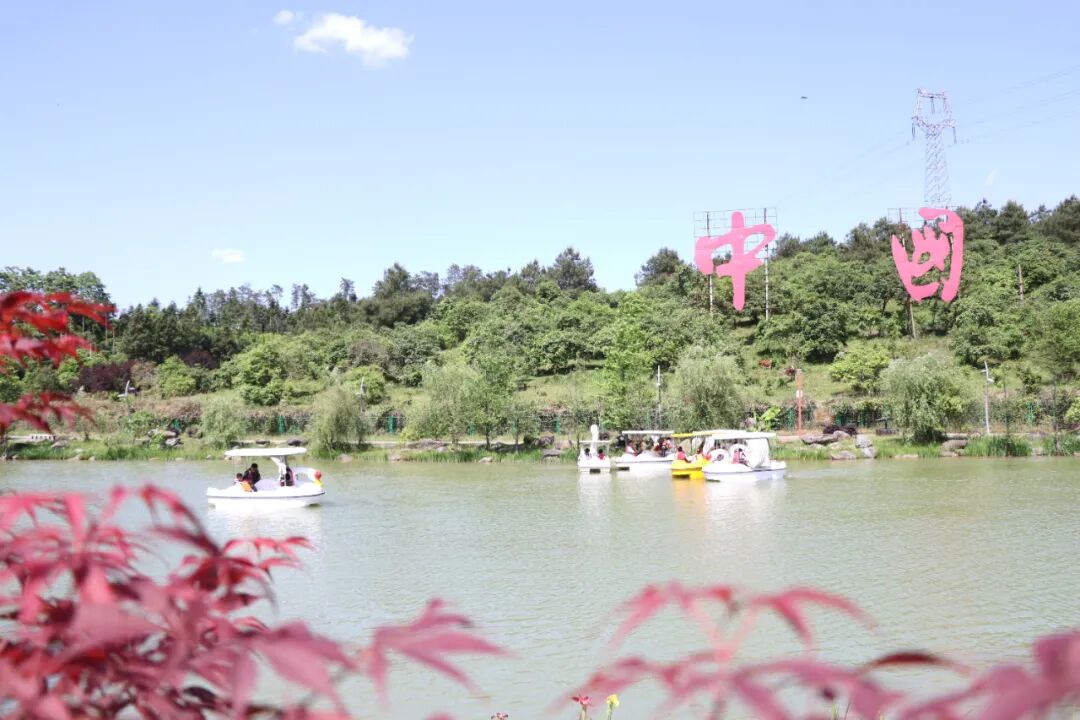 图片