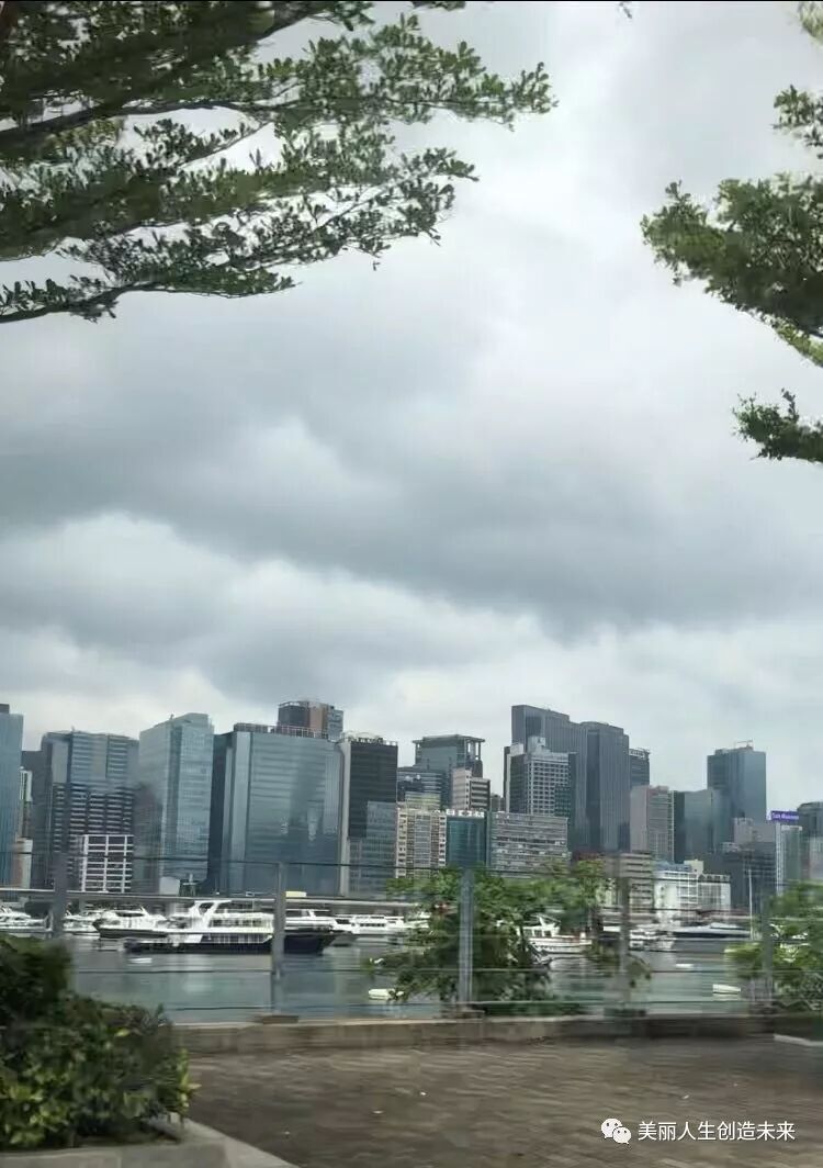 启德教育 传单 兼职_德州启德大酒店_启德机场