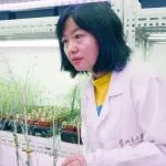 本科、博士毕业于中国农大，国家杰青，发表NBT、NC、PNAS等期刊，入职北大，她创新初心不改，开辟植物RNA表观遗传学新赛道