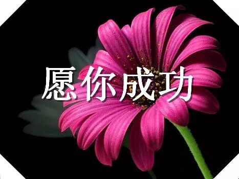 送你每天好祝福 祝你上班拥有快乐心情 愿你成功 送你每天好祝福 微信公众号文章阅读 Wemp