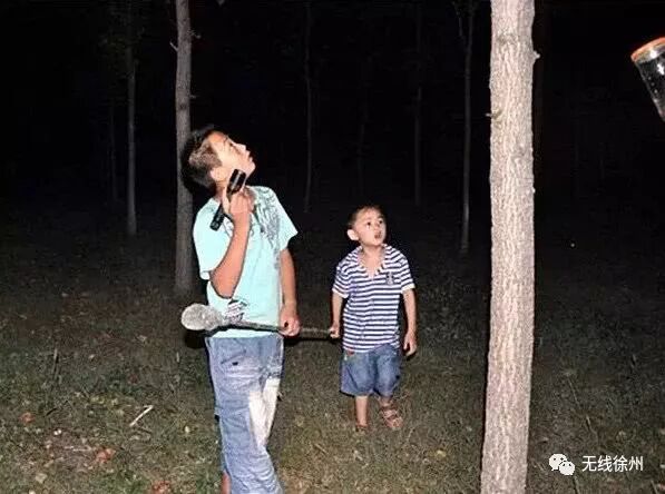 70元一斤知了猴“破土”上市 想吃要注意