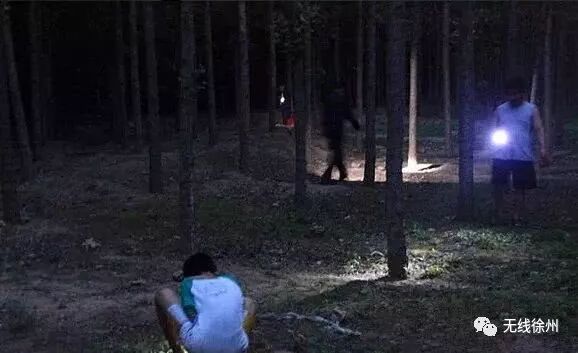 70元一斤知了猴“破土”上市 想吃要注意