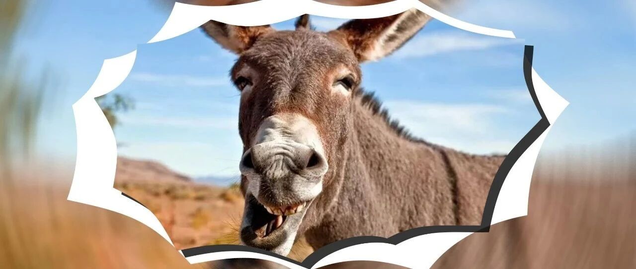 2021第一波沙雕新闻合集,第一个就笑岔气!