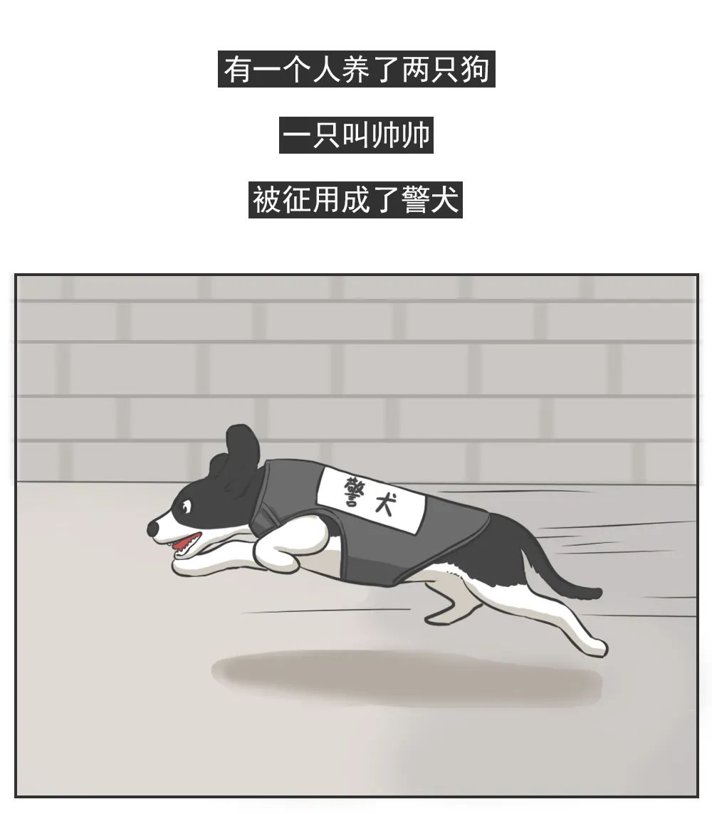 【神脑洞】同样都是狗，凭什么你这么优秀？(图1)