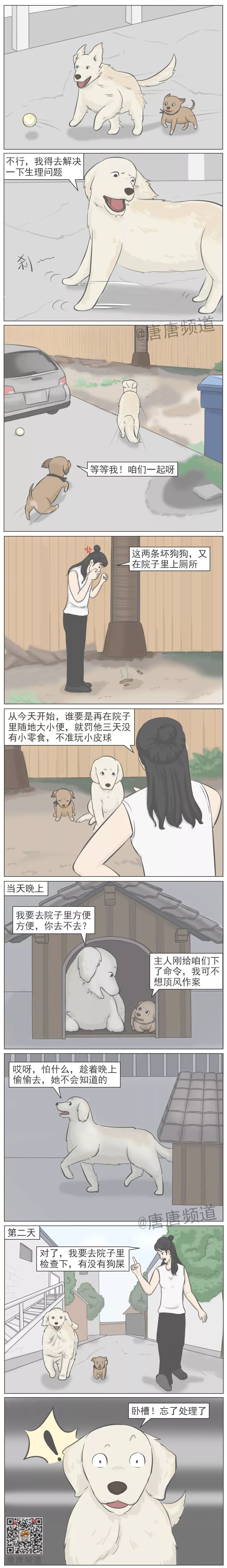 【神脑洞】快给狗子买学区房！不然对不起它那智商(图1)