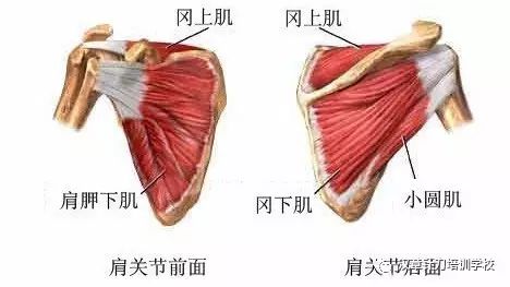 臨床中手麻原因的分析 健康 第14張