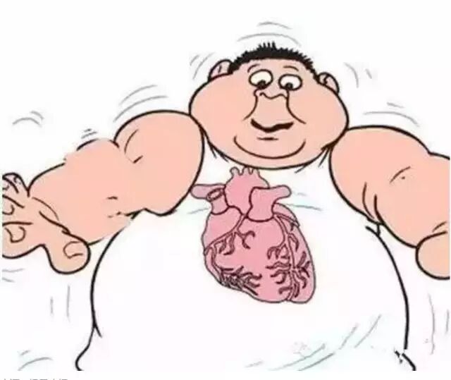 古法经络|晚餐决定你的体重和寿命！