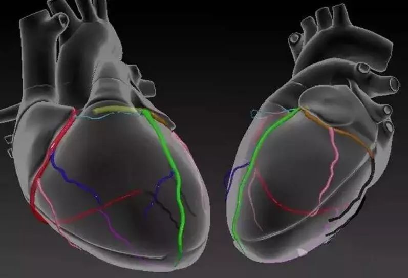 你了解自己的"心"吗?——心脏动态解剖全解!