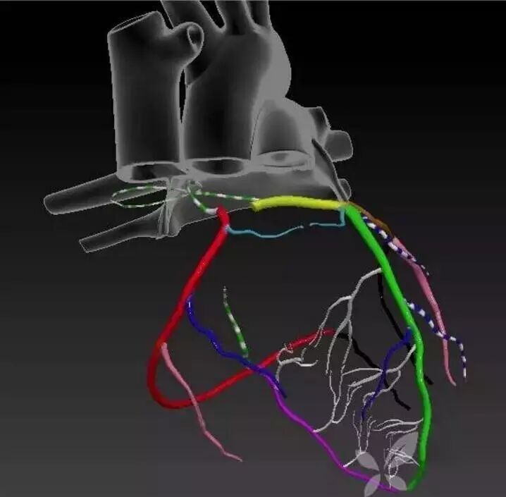 你了解自己的"心"吗?——心脏动态解剖全解!
