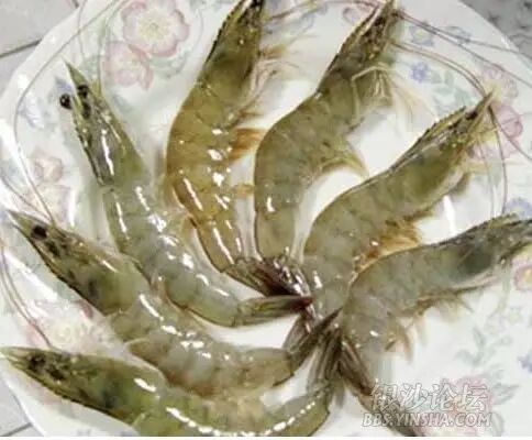 如何辨识海虾和选购鲜虾?