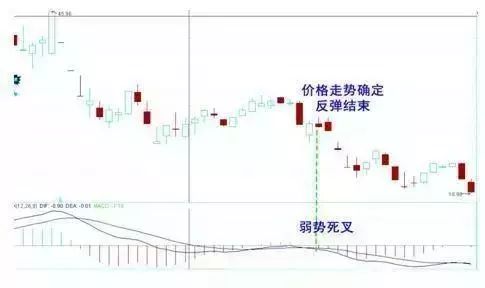 血亏一千万的私募高手发声：散户千万要坚定“三不碰”一碰或将亏损到底