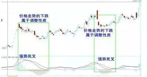 血亏一千万的私募高手发声：散户千万要坚定“三不碰”一碰或将亏损到底