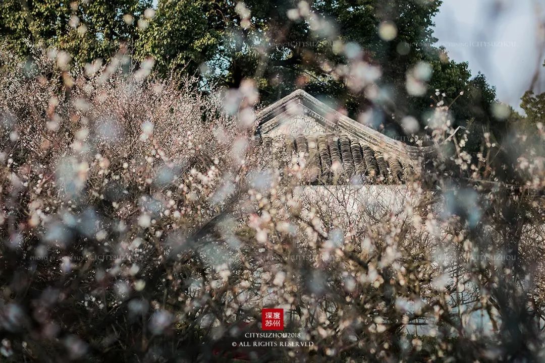 眼底江南，心上吳中。 旅遊 第11張