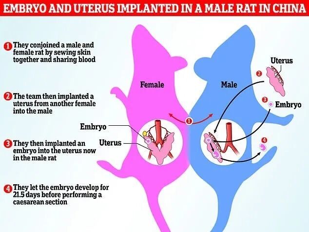 йѧҳɹùв10ֻ̣ȴ~~