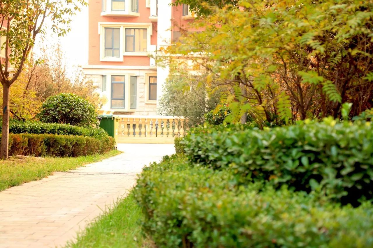 房子是用来住的,英伦花园还原住宅居住本质