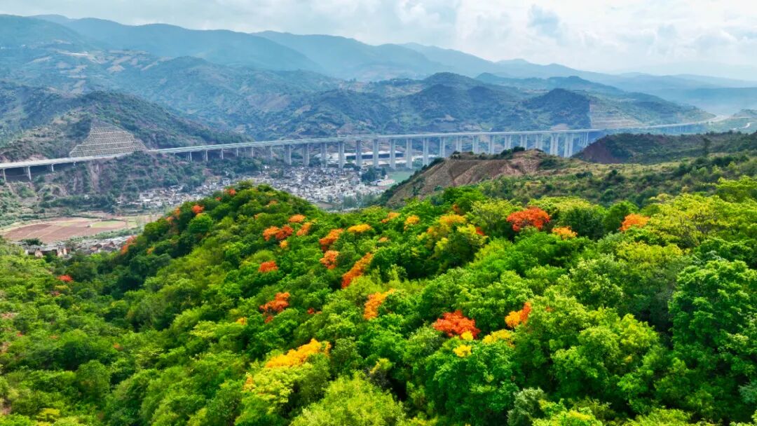 悠游易门|赏马头山最后的秋色_易门县融媒体中心