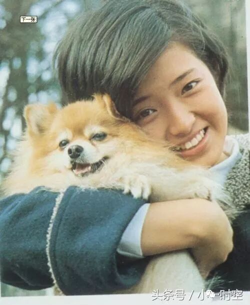 音乐记忆 伊豆的舞女 永远的山口百惠 小一时空 微信公众号文章阅读 Wemp