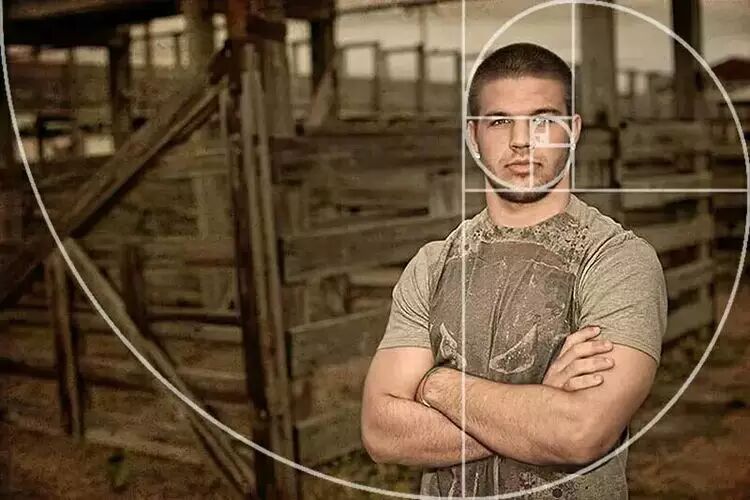 照片怎么拍才好看摄影最全构图技巧看这里