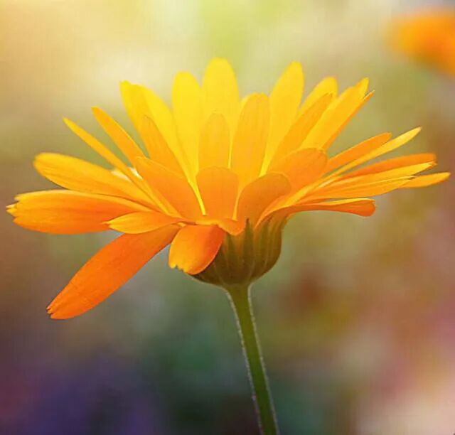 太实用啦，10个拍摄技巧！