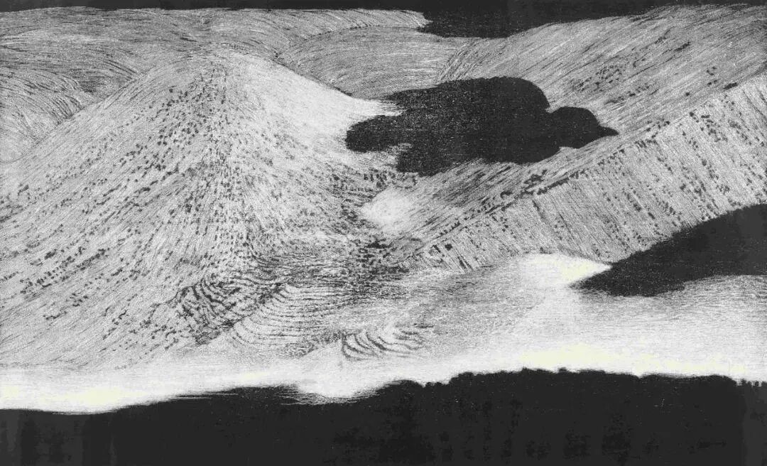 【展览】中国青年版画家提名展作品(图20)