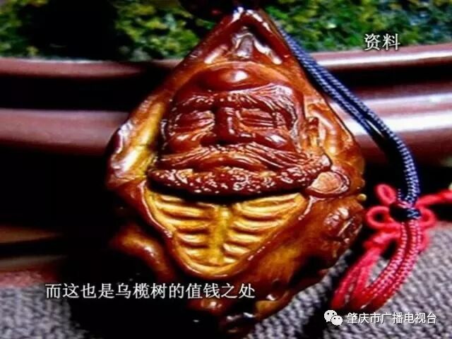 德庆县有棵乌榄树穿上防护衣榄核靓雕刻出来的工艺品细腻