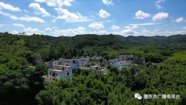 肇庆人封开大洲镇邀您明天来看直播投票感受乡村环境华丽蜕变
