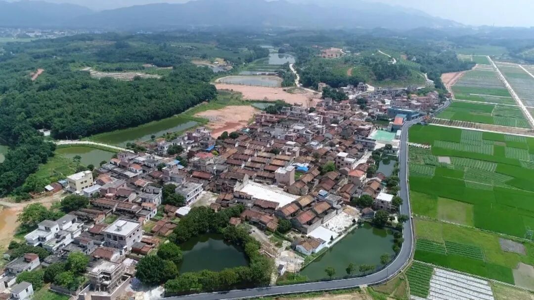 四会市地豆镇巩固文明创建成果提升居民幸福感获得感