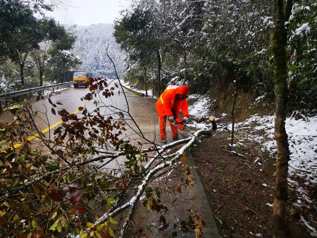 （寒冬，养护人员在清理被积雪压断了的树枝）（汛期，养护人员在清理淤